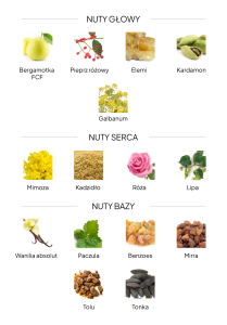 BOTAQ_ucieleśnienie_nuty.png